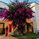 Derin Apart Hotel Bodrum