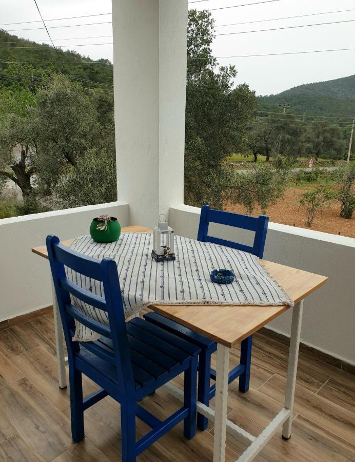Begonvilli Ev Apartment Bodrum