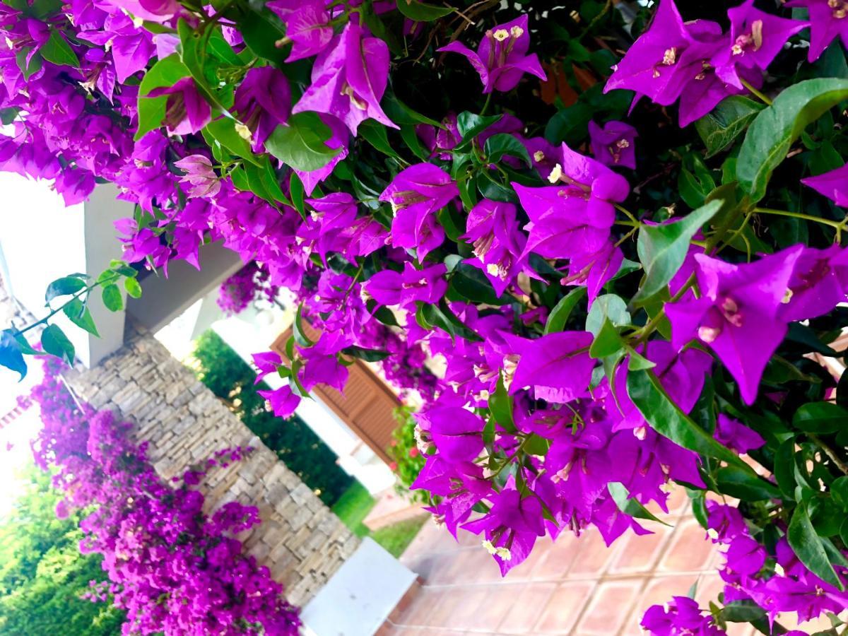 Breathtaking Sea View With A Peaceful Garden Apartment Bodrum
