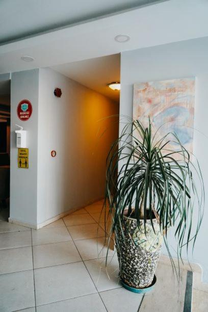 Otel Rozetta *