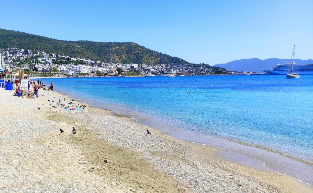 Stone House, 2br, Cozy, Spacy, Terrace, Fast Wifi, Parking Pousada