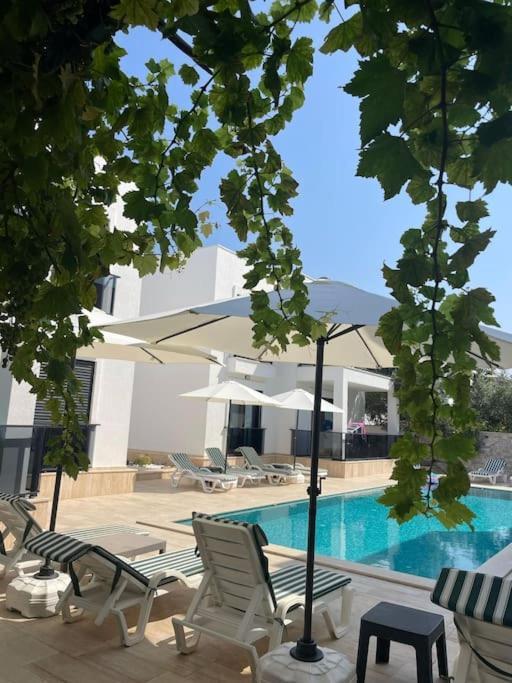 Daire Brand New 2 Bedroom Floor Flat With Pool A2 Bodrum
