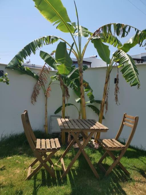 Brand New 2 Bedroom Garden Floor Flat With Pool A1 Apartment Bodrum