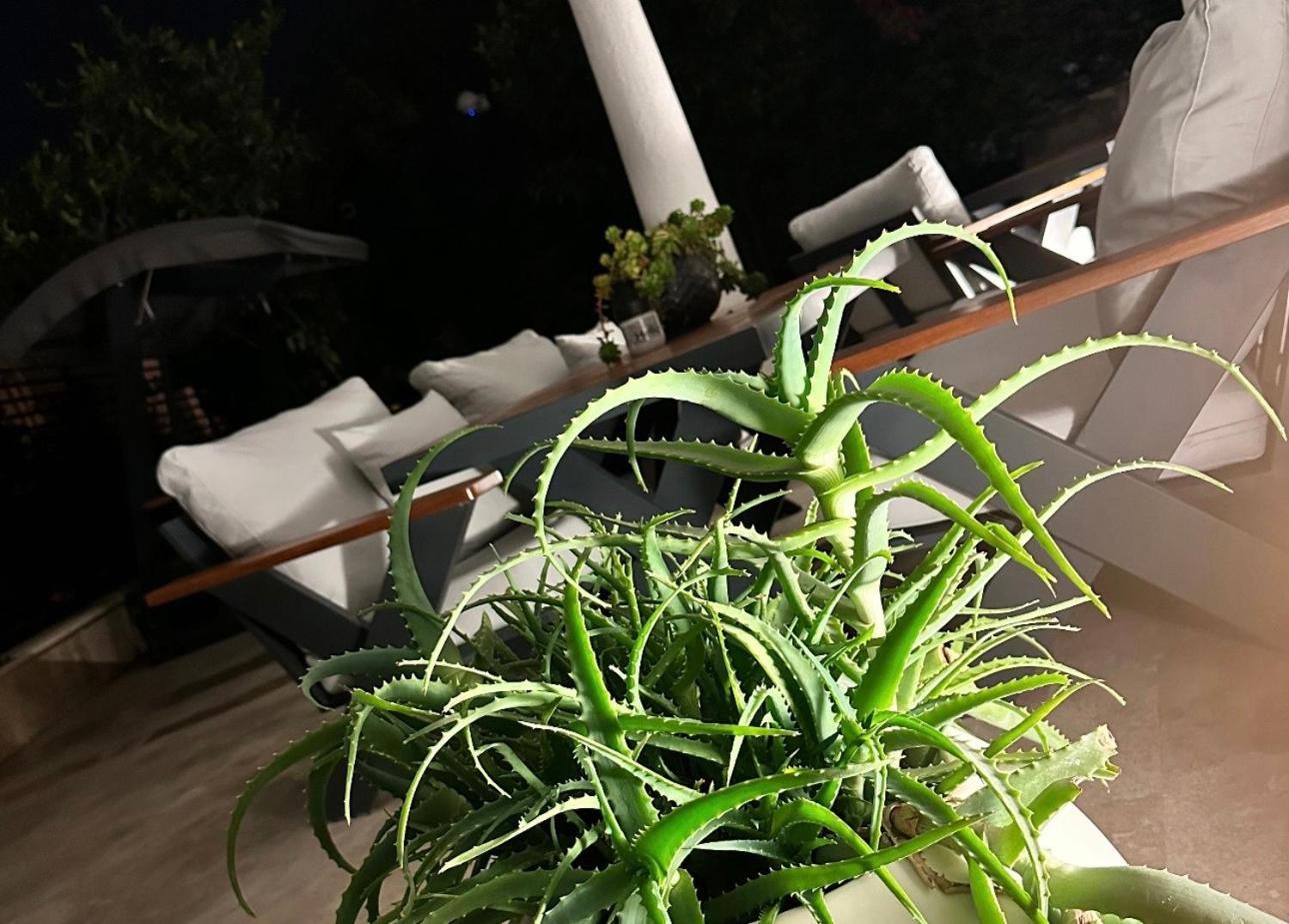 Aparthotel Noa Only Adult 5*
