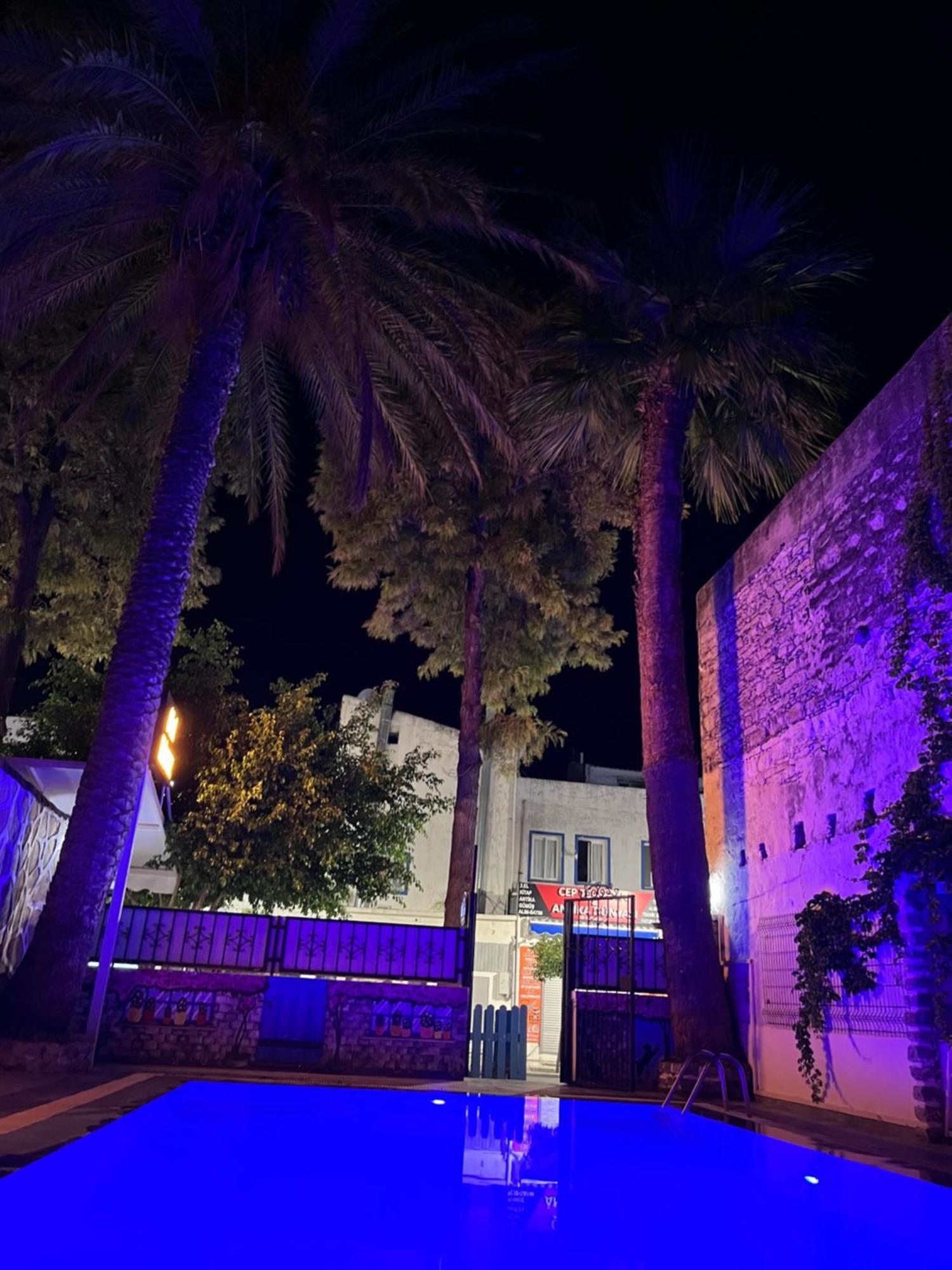 Kılavuz * Bodrum