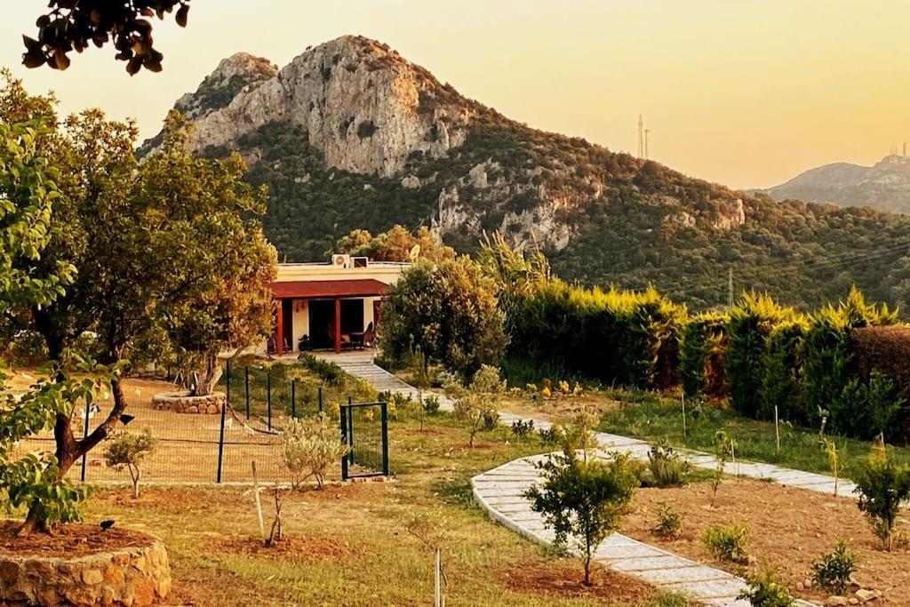 Villa Lux In Nature Ekolia