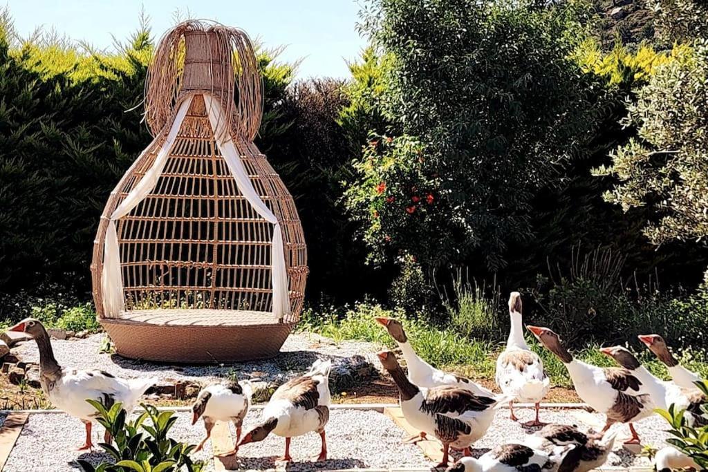Lux In Nature Ekolia Villa Bodrum