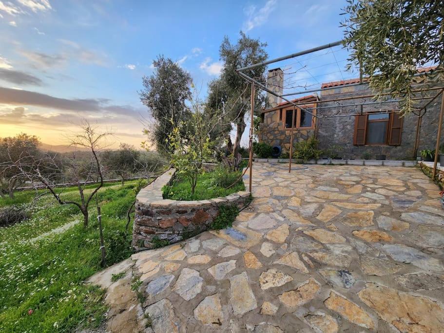 Appartement Eleia - Olive Garden & Stone House