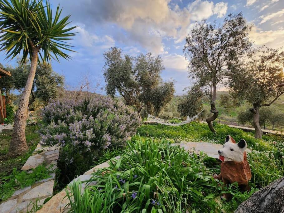 Eleia - Olive Garden & Stone House Appartement