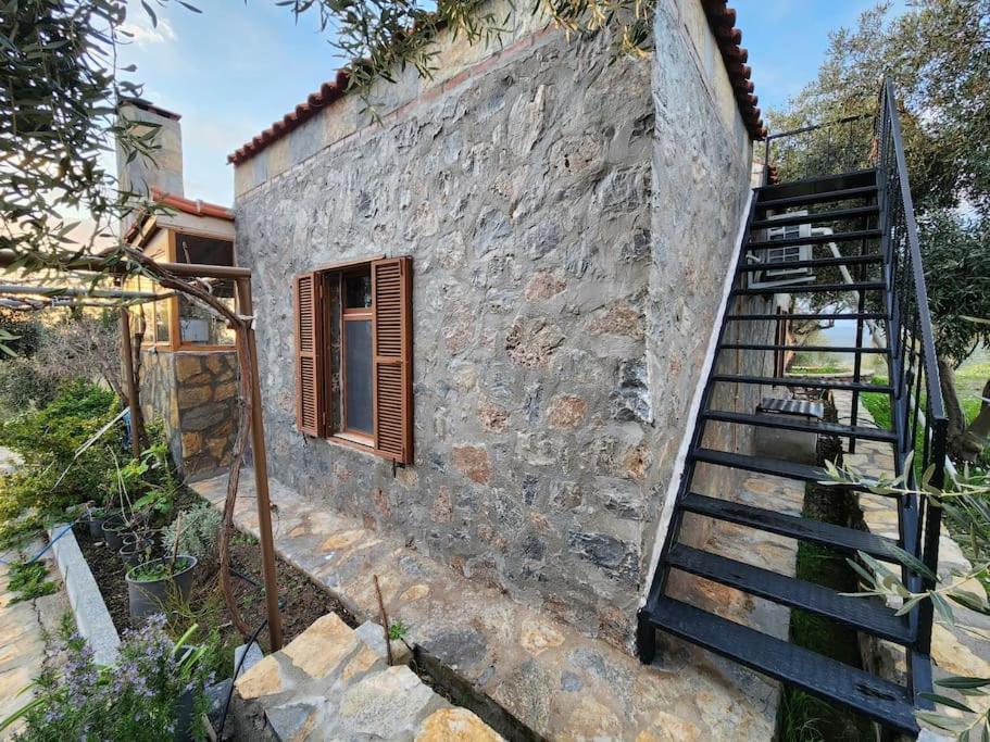 Appartement Eleia - Olive Garden & Stone House *
