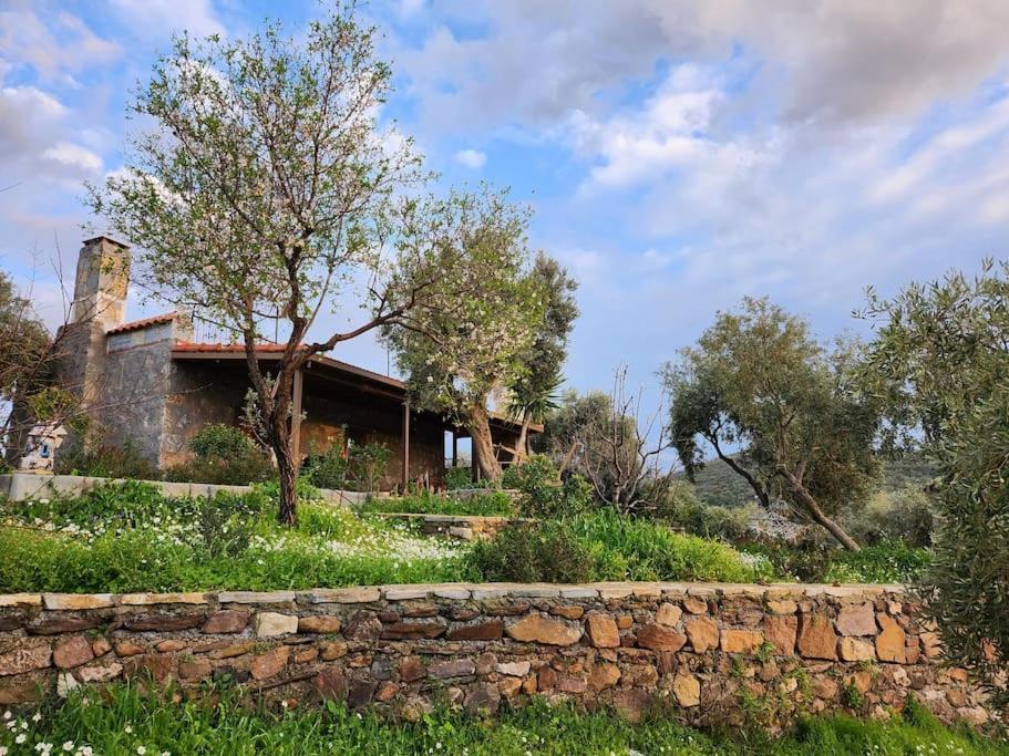 Eleia - Olive Garden & Stone House * Bodrum