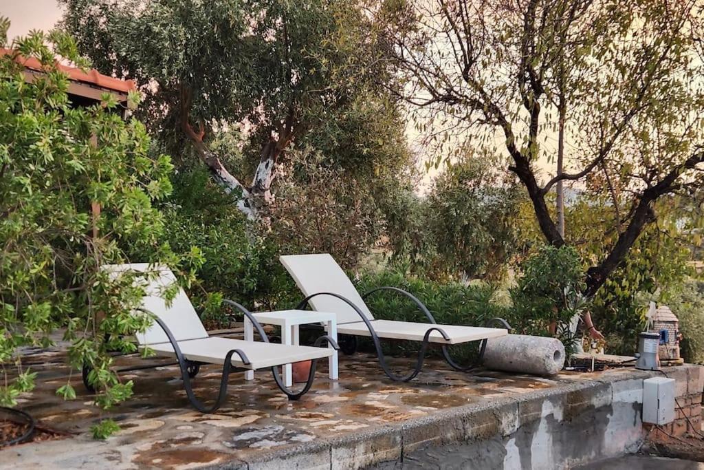 Appartement Eleia - Olive Garden & Stone House