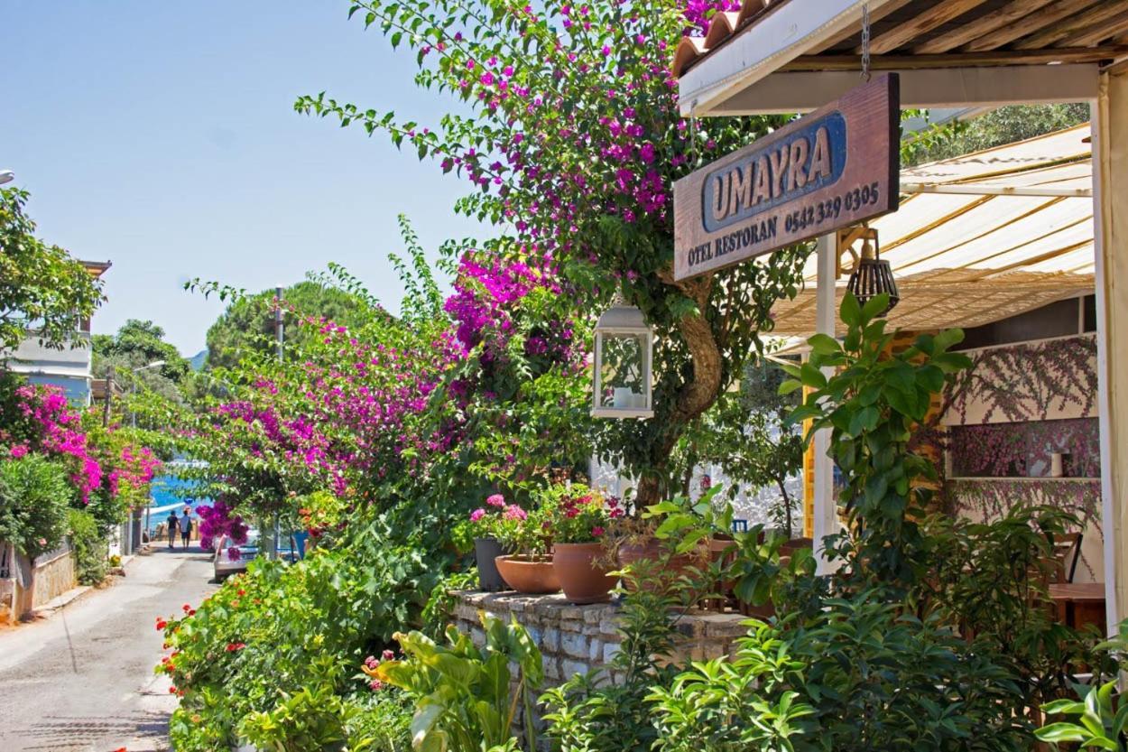 Umayra Bodrum