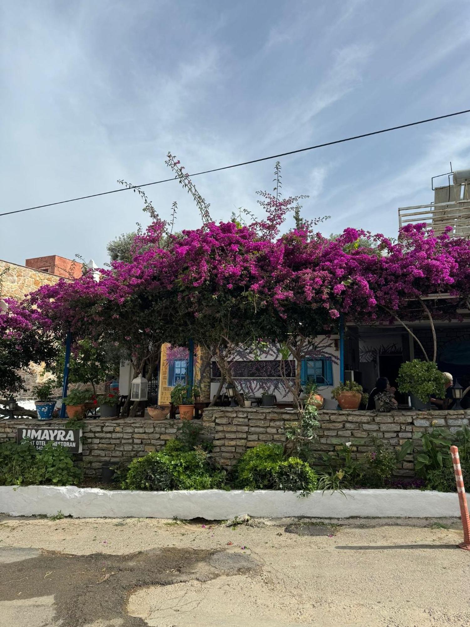 Umayra Hotel