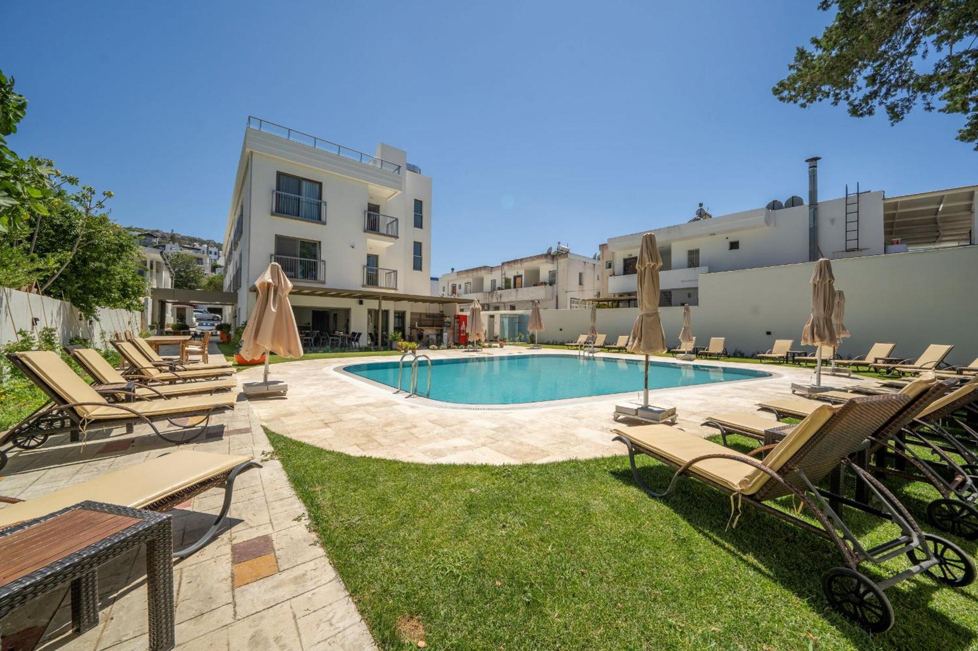 Hotel Olive Tree 4*