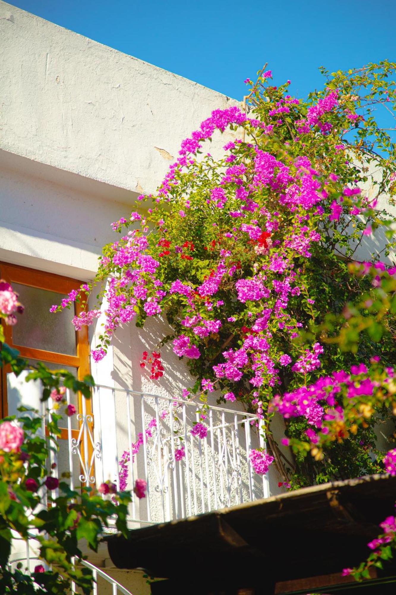 Otel Karia Princess 4*