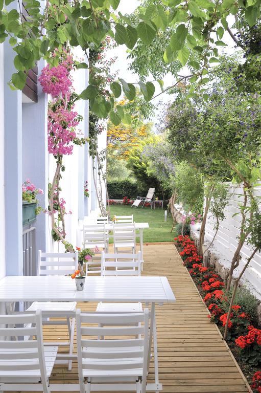 Satsuma Suites