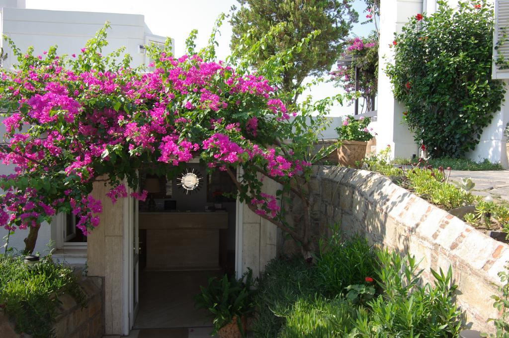 Antik Tiyatro Bodrum