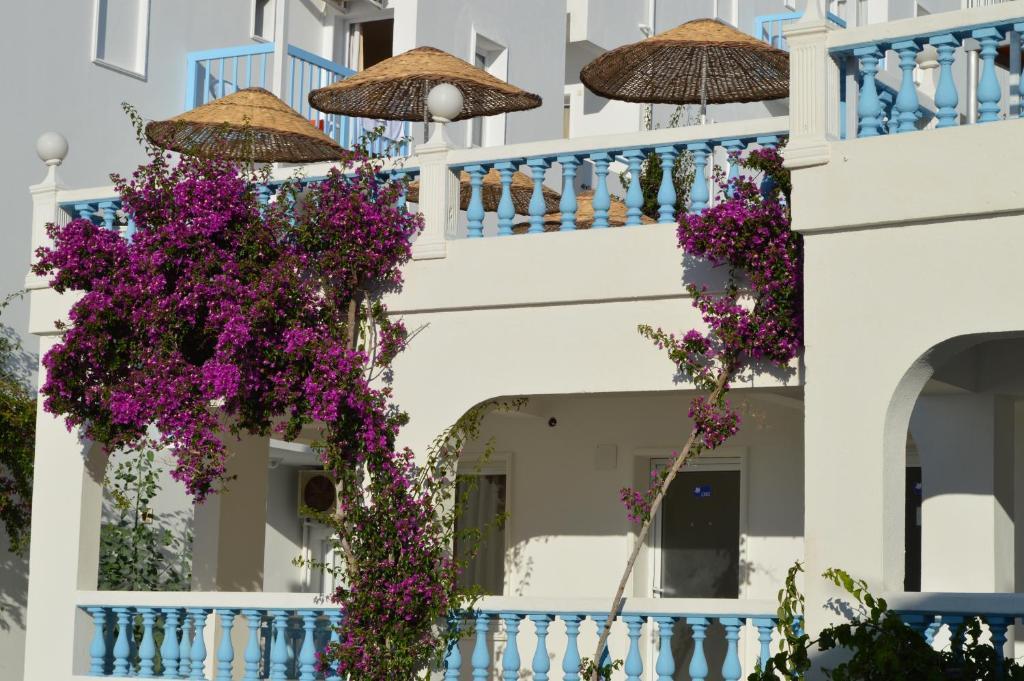 Peda Gumbet Holiday Beach Resort Bodrum