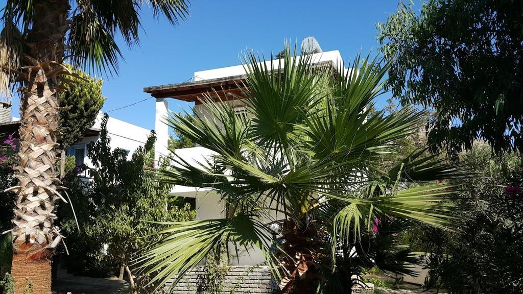 Alfa Apart Otel