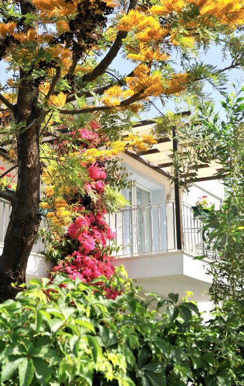 Satsuma Suites 3*