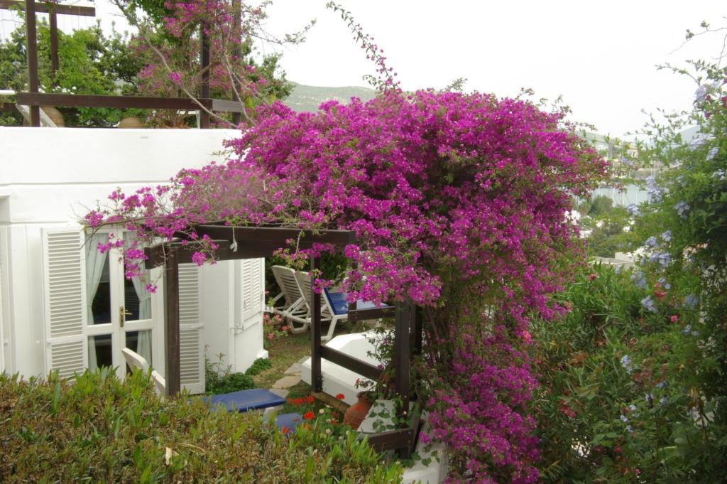 Otel Antik Tiyatro Bodrum