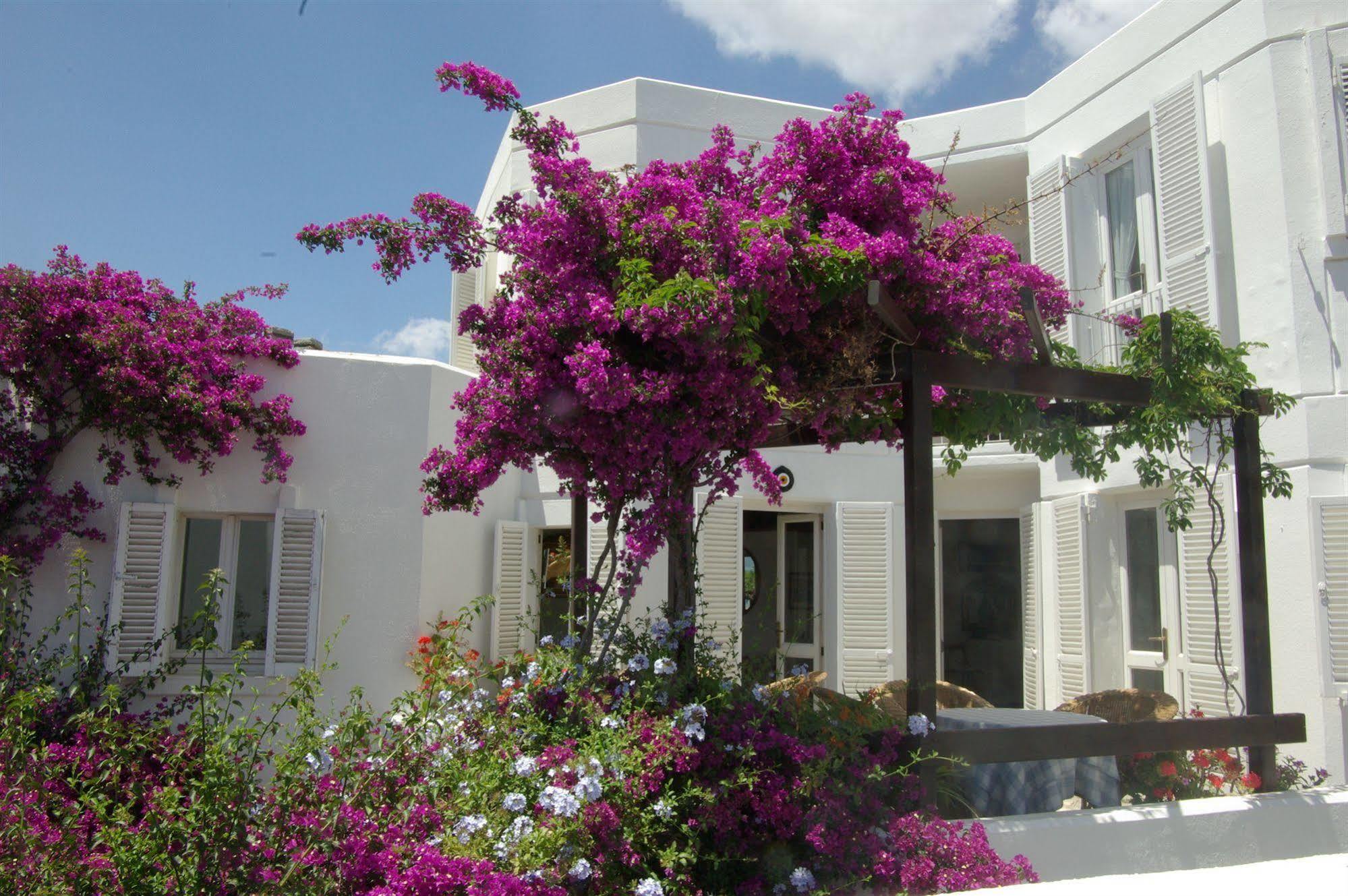 Otel Antik Tiyatro