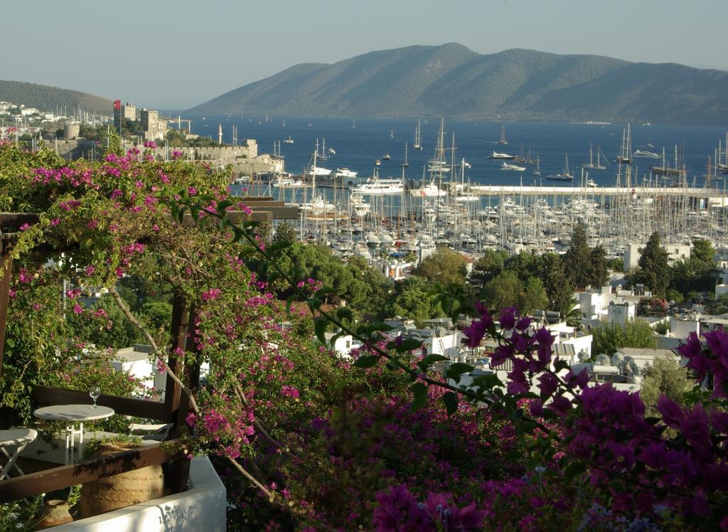 Antik Tiyatro 3* Bodrum