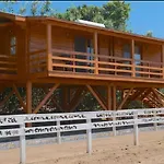 Equestrian And Beach Club