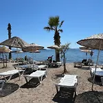 Bodrum-Turgutreis Merkezde Plaja 50 Metre Uzaklikta 1 Ve 2 Numarali Daireler