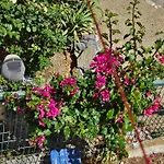 Bodrumda Sirin Ev