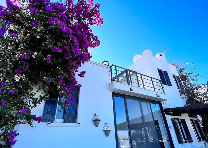 Bodrum Yalikavak Villa