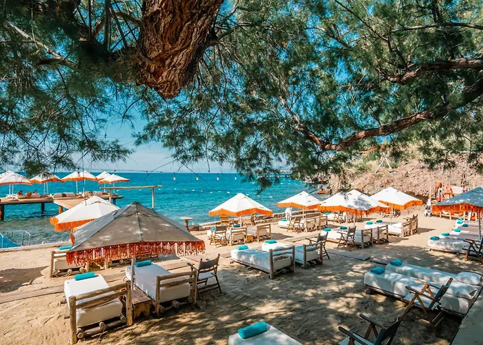 La Local Beach House & Villa