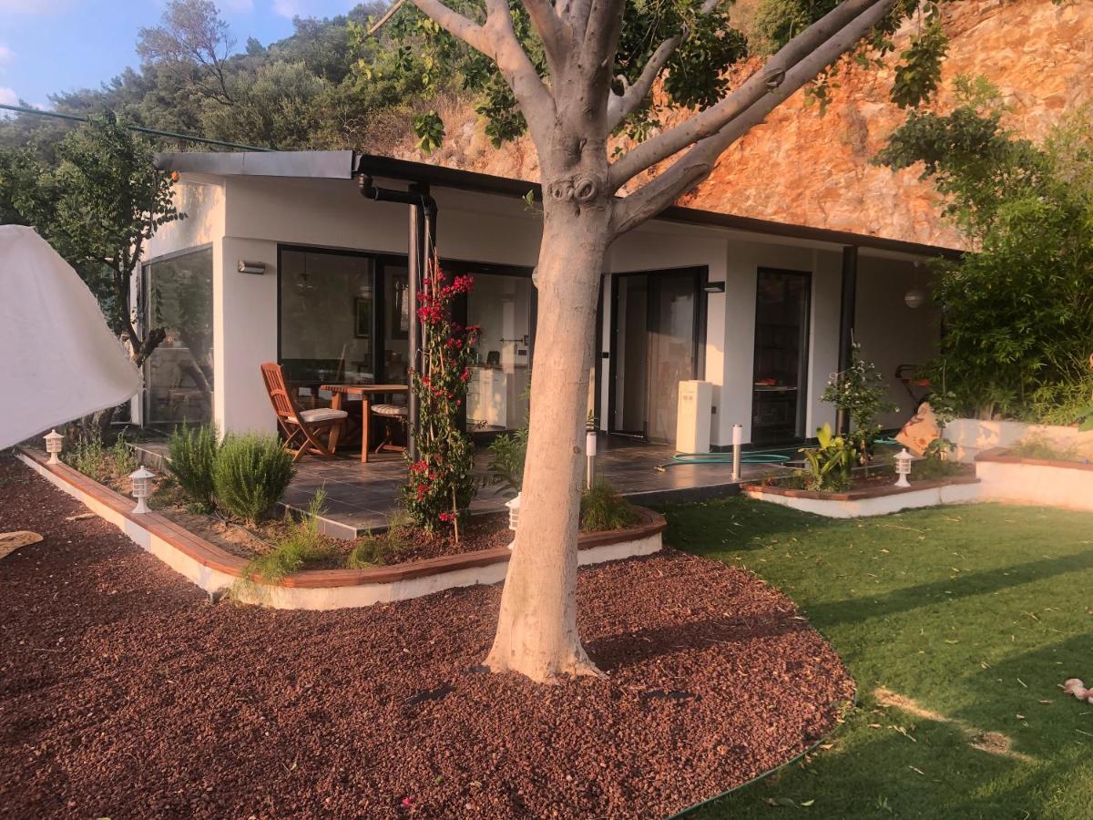 Holiday home Dream House *