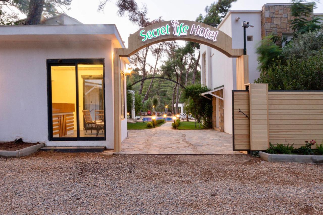 Hotel Secret Life Hotel *