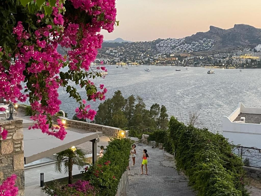 Dream House Bodrum