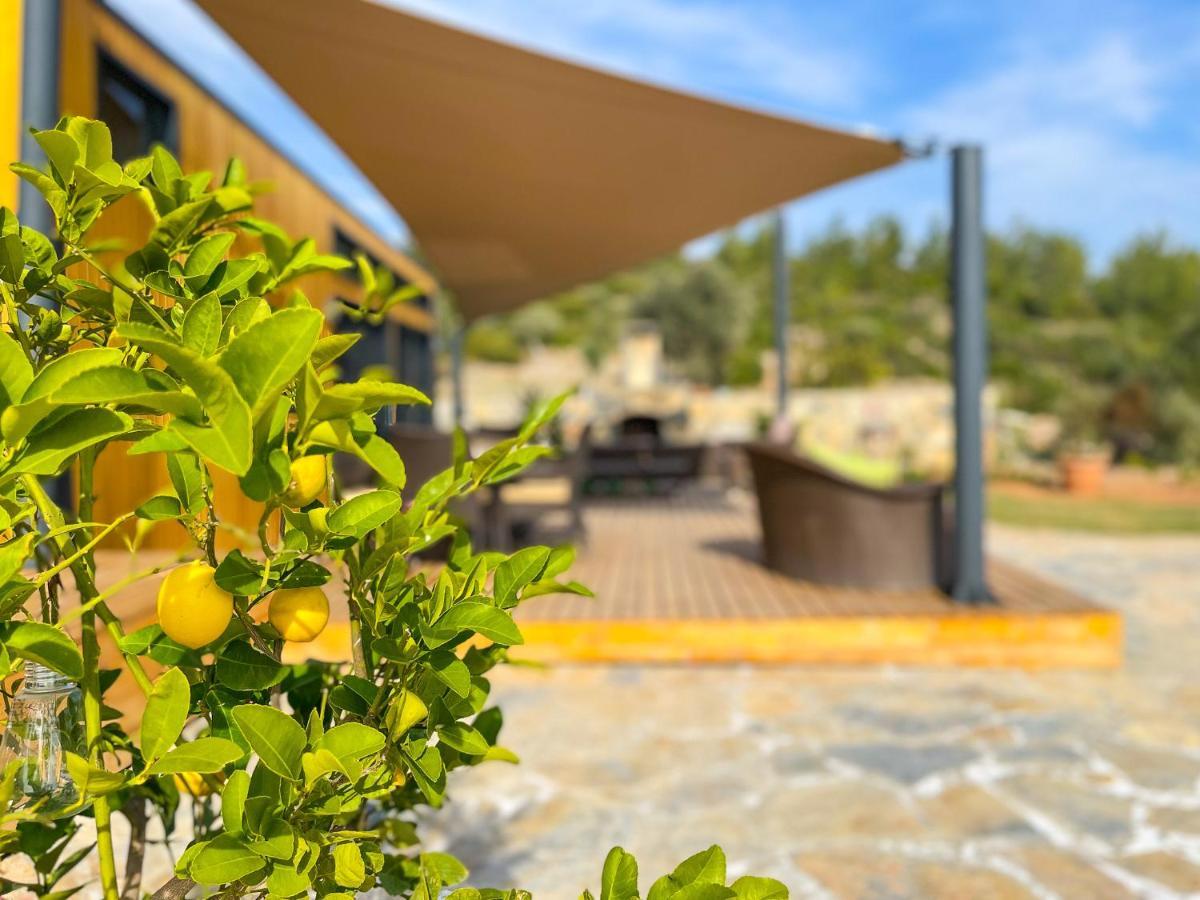 Tiny House Yaliciftlik Ciftlikno50 Bodrum