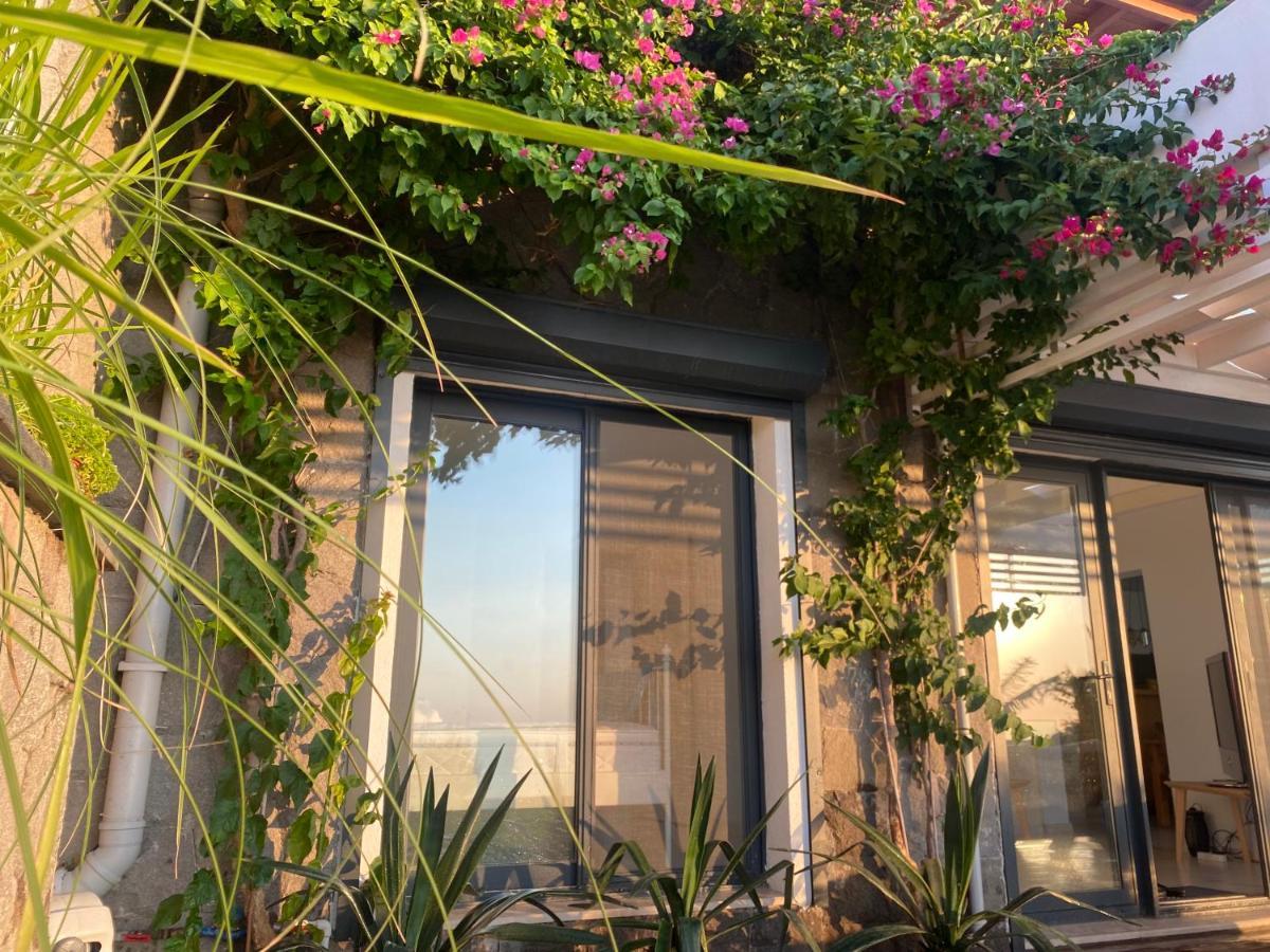Aleph-kiralik Muestakil Havuzlu Luex Pousada Bodrum