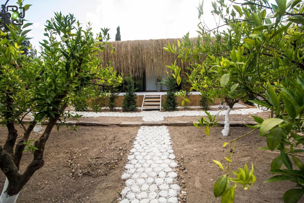Orman Evi Podbodrum Tiny House Bodrum