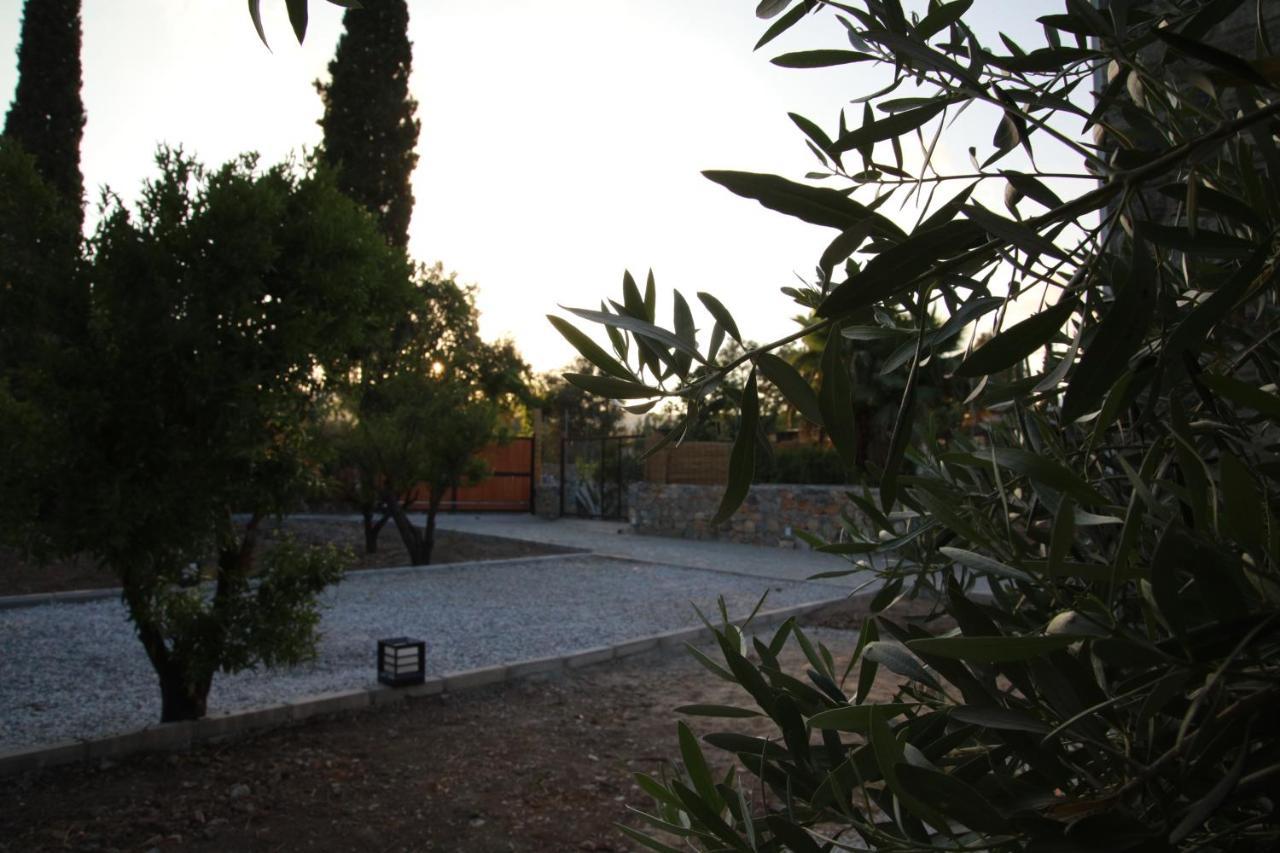 Podbodrum Tiny House Lodge *