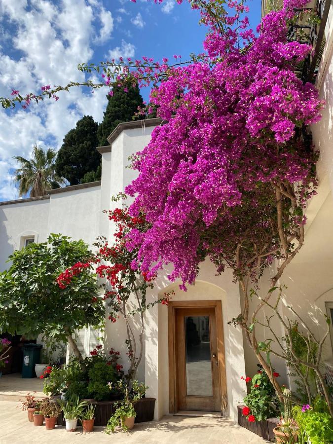 Karayel Apart * Bodrum