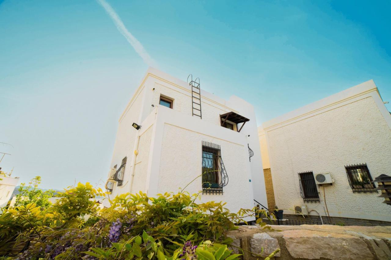 Dolphin Villa *