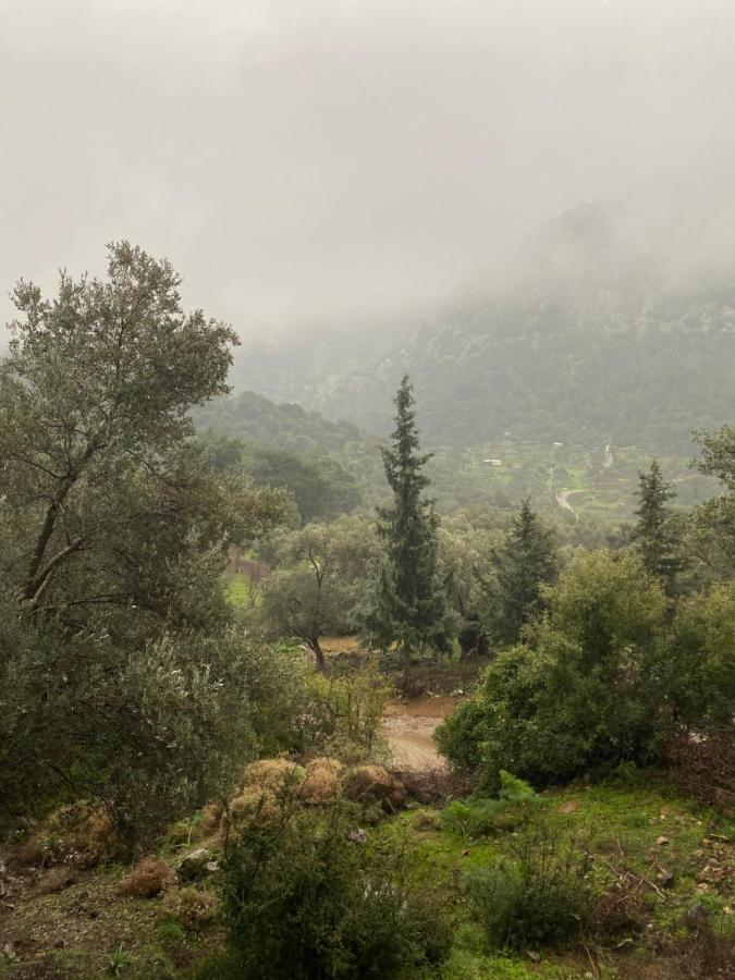 Five Senses Glamping * Bodrum