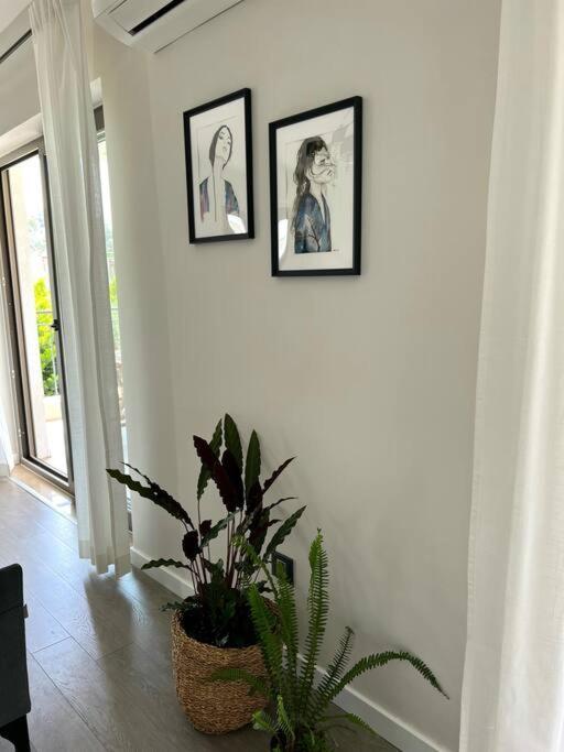 Luxurious In Apartment *