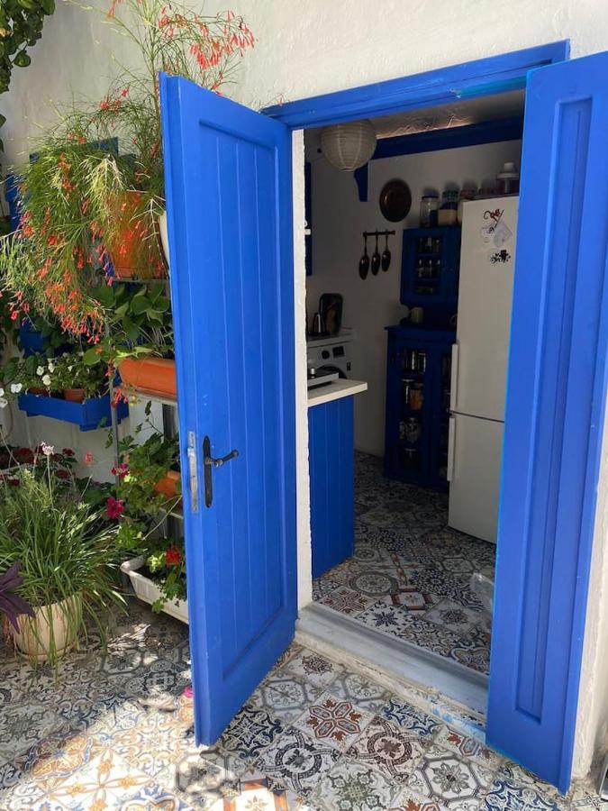 Authentic House