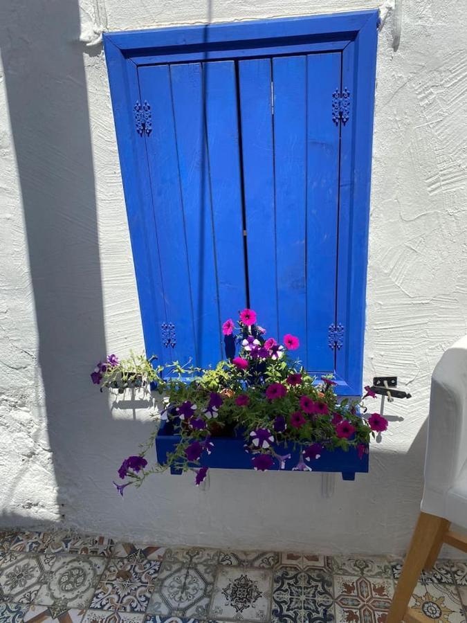 Authentic House *