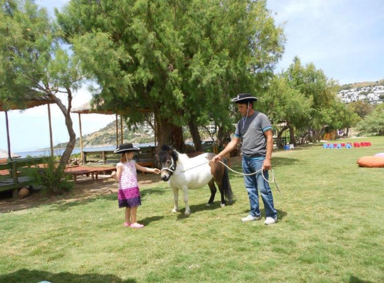 Equestrian And Club Motel Bodrum