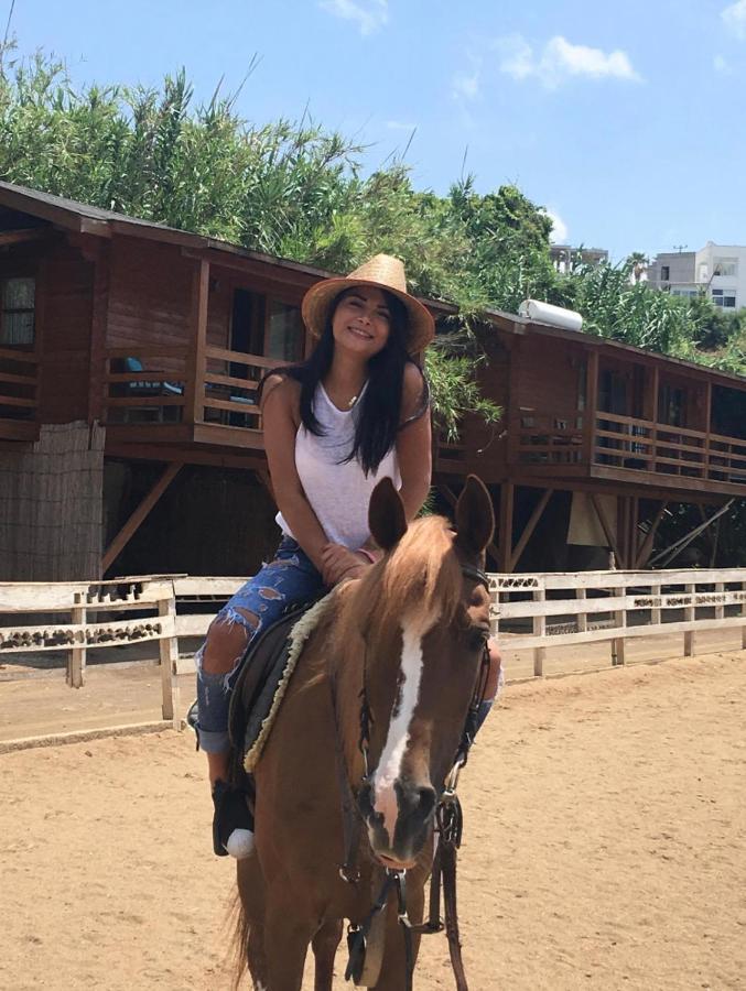 Equestrian And Club *