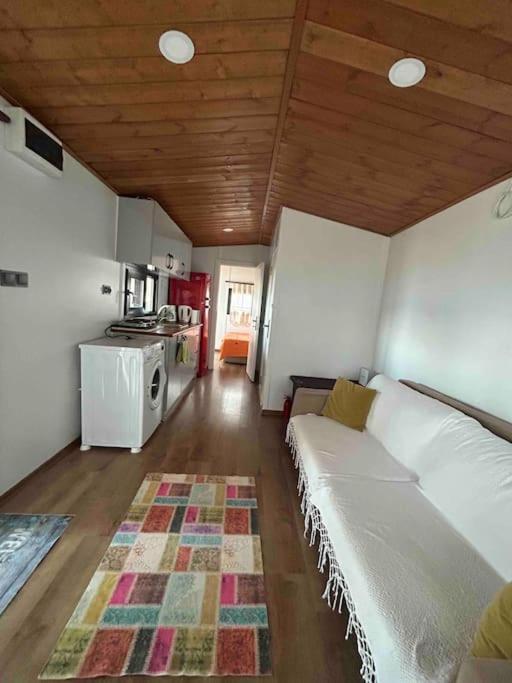 Tiny House By The Sea In Camel Daire *