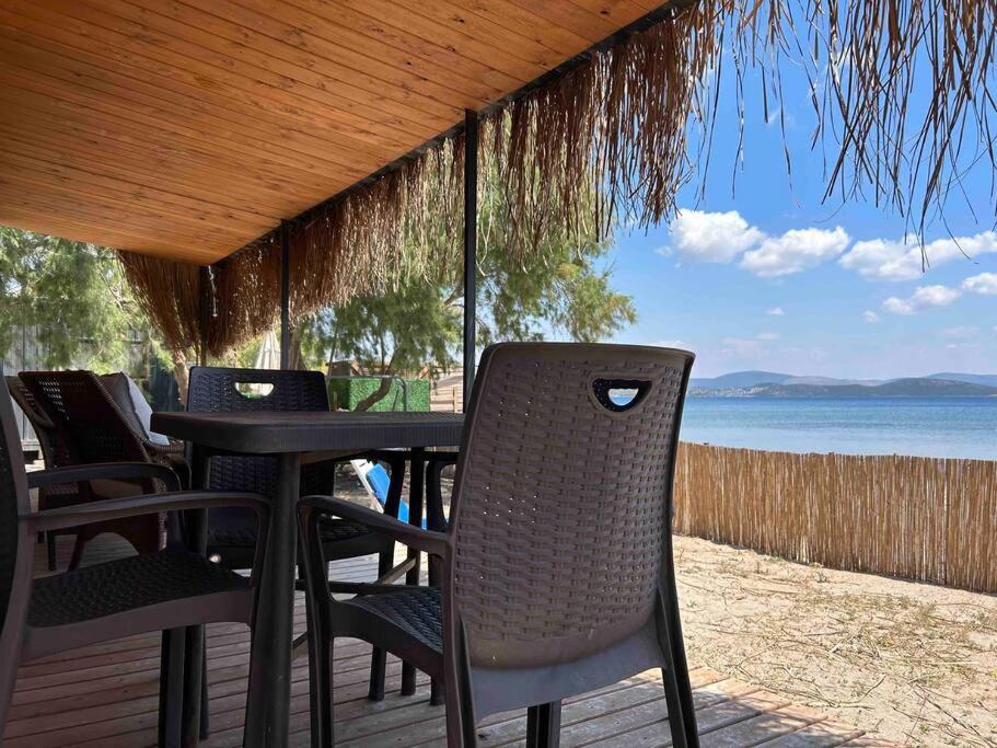 Daire Tiny House By The Sea In Camel